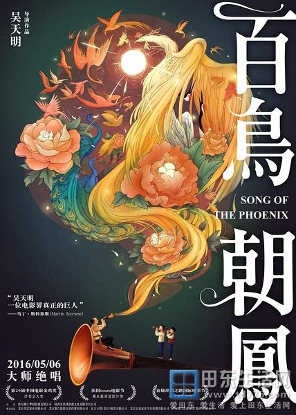 一览伯乐事肖凰，新导向下的SEO优化策略，伯乐肖凰一览，新导向下的SEO优化策略