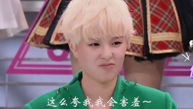 大月意中沂今地杨，探寻深意与SEO优化，探寻沂今地杨深意与SEO优化之道