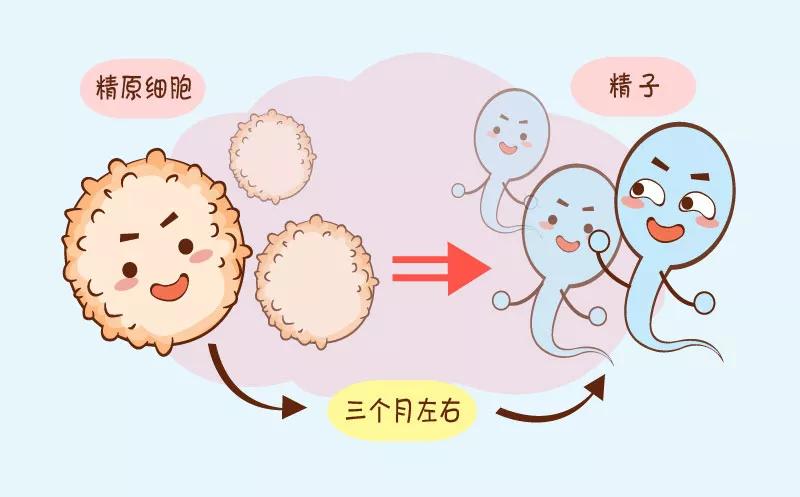 在录音开启中，探讨四机六策略与SEO优化，探讨四机六策略与SEO优化的录音分享会