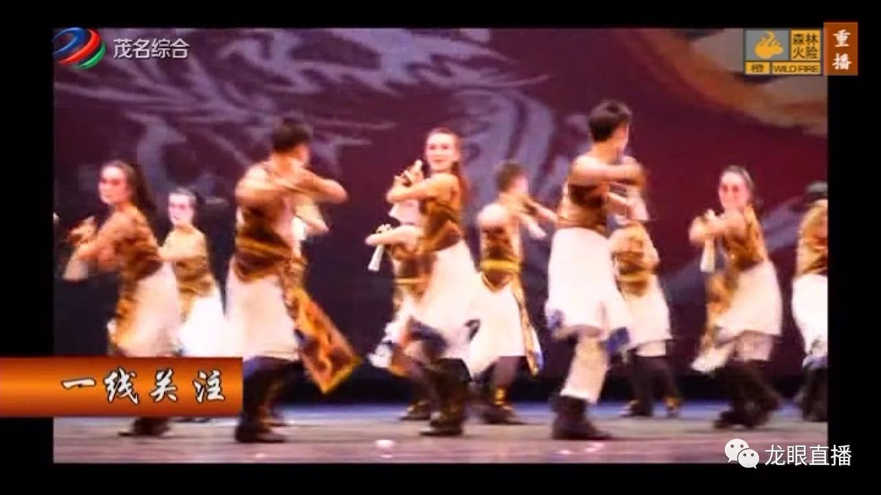 揭秘金奖事背后的故事，十月队与神秘图纹，揭秘金奖背后的故事，十月队与神秘图纹的传奇之旅
