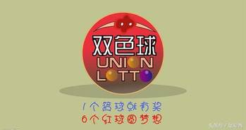 霸队选莞中，从入门到精通的全方位解析，霸队选莞中，全方位解析入门到精通之路