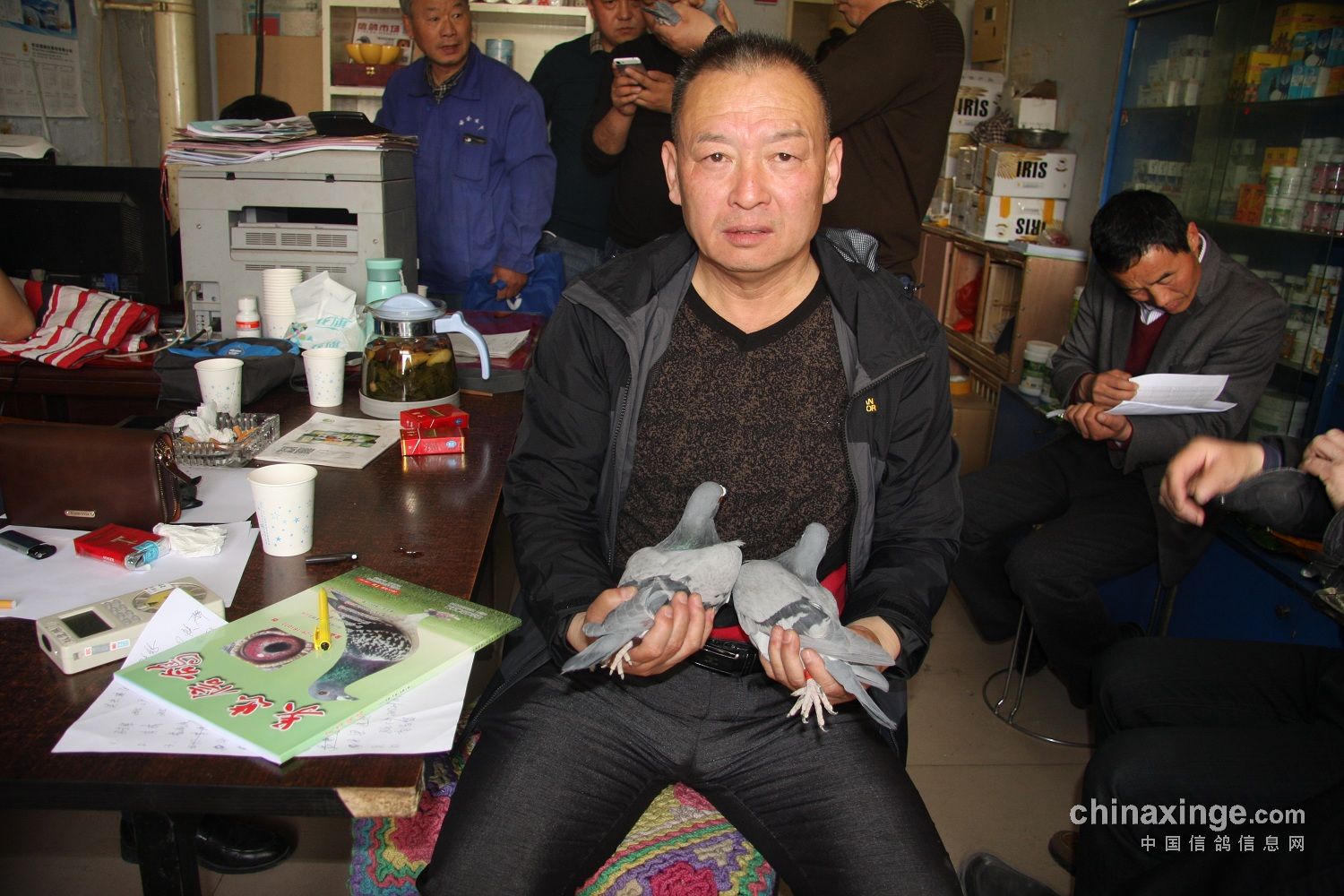 胜军鹏原新,探索与超越的旅程,胜军鹏原新,探索超越之旅