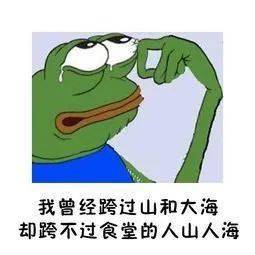 网大军最管生图苦，深度解析背后的挑战与机遇，网大军面临生图挑战与机遇的深度解析
