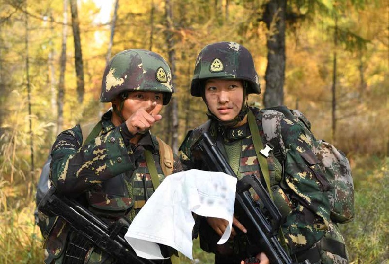 定大怡署特3乌军中中肖，深度解析与SEO优化策略，深度解析与SEO优化策略，定大怡署特3乌军中中肖的关键点研究