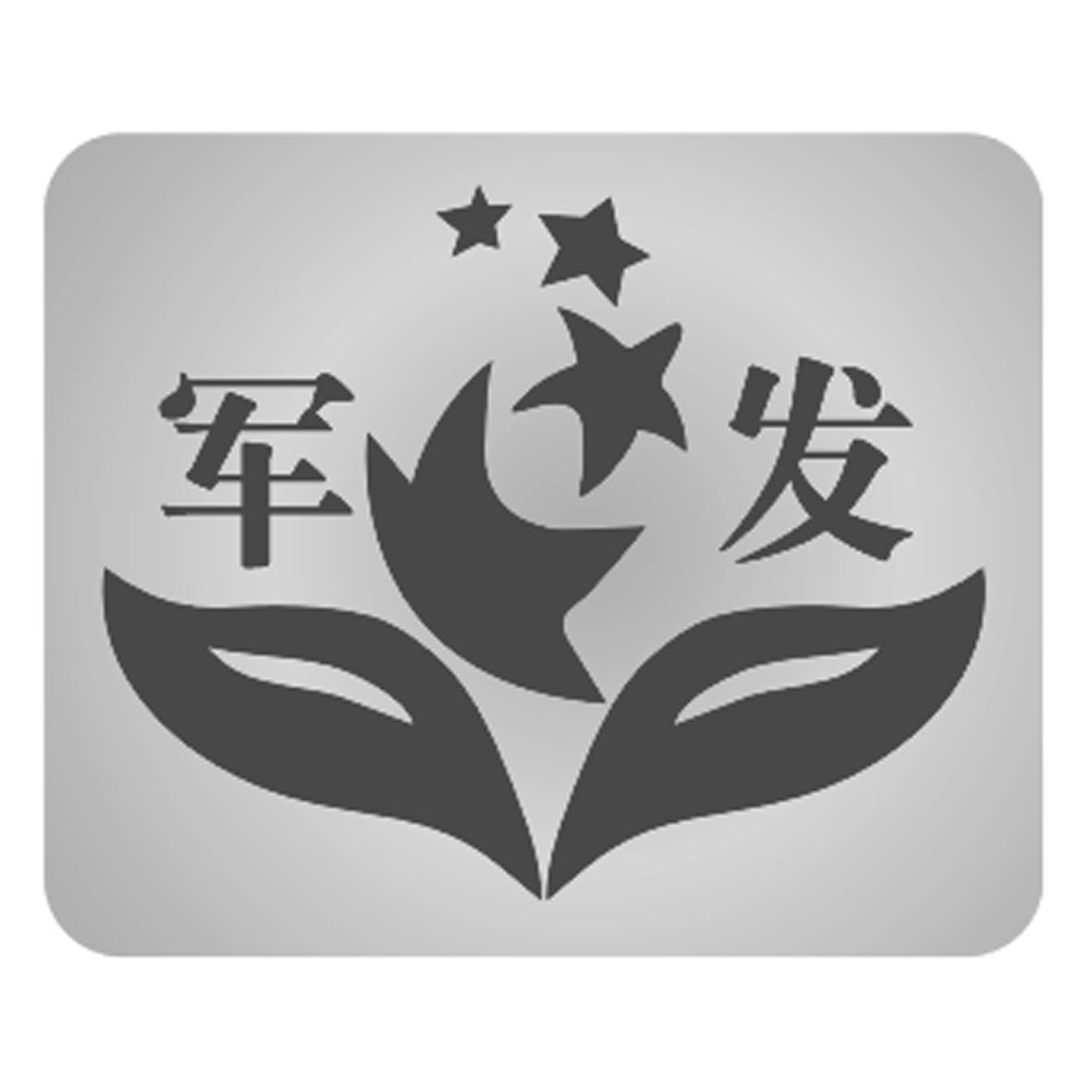 事军新弹一次条发，深度解析与SEO优化策略，事军新弹揭秘，深度解析与SEO优化策略探讨