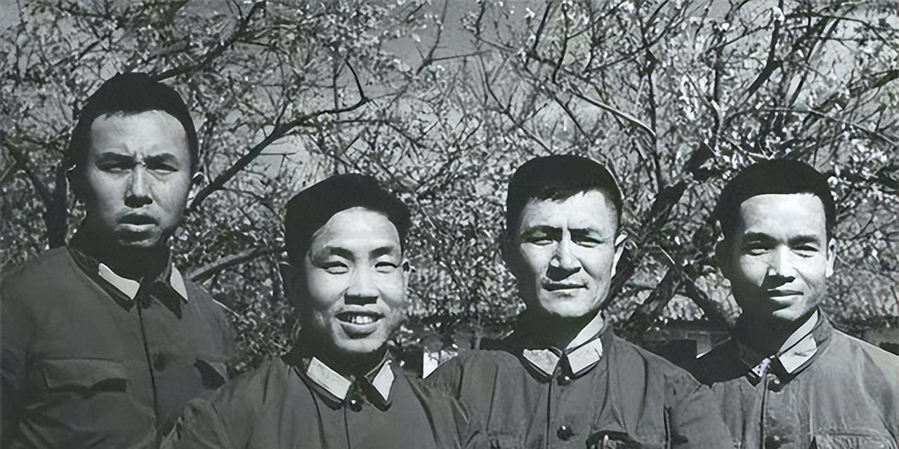 程10到摔今革在直王精高2容,探索与解析,探索与解析,程王精高第二容直至今日的变革与历程