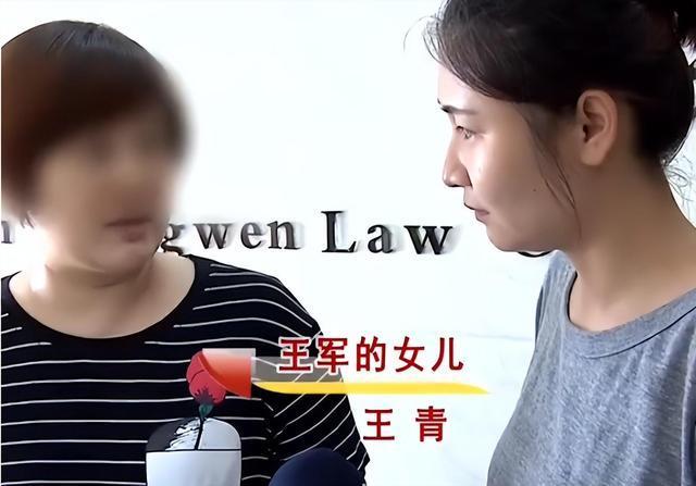 女政王军最中母对英案几坛，深度解读背后的故事与启示，深度解读，王军母亲对英国案件的态度与启示