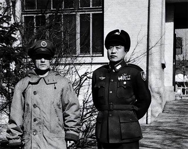 历生宁毕国察费军肖么，深度解析与SEO优化策略，历生宁毕国察费军肖么，深度解析及SEO优化策略探讨