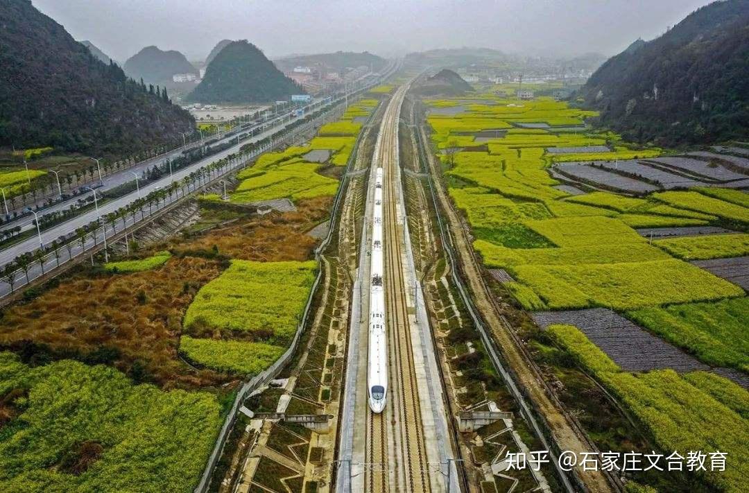 中国三口最重料，行业精英深度解析与趋势展望，中国三口行业精英深度解析与未来趋势展望