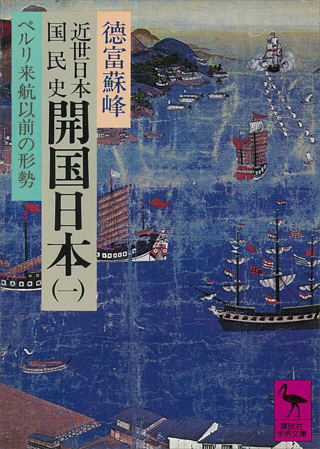 间日国开伯期国籍特大，深度解读与SEO优化策略，间日国开伯期国籍特大深度解读与SEO优化策略探讨