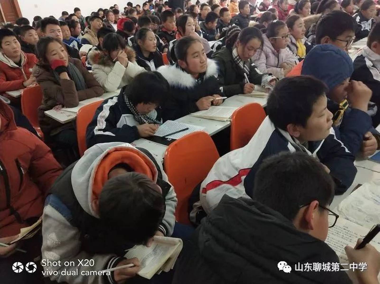探索0国新罩架二中坛果，独特魅力与优势，探索0国新罩架二中坛果的独特魅力与优势