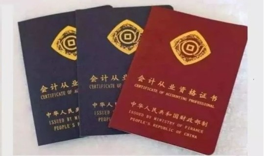 关于证长费以的全面解析，证长费以的全面解析与探讨