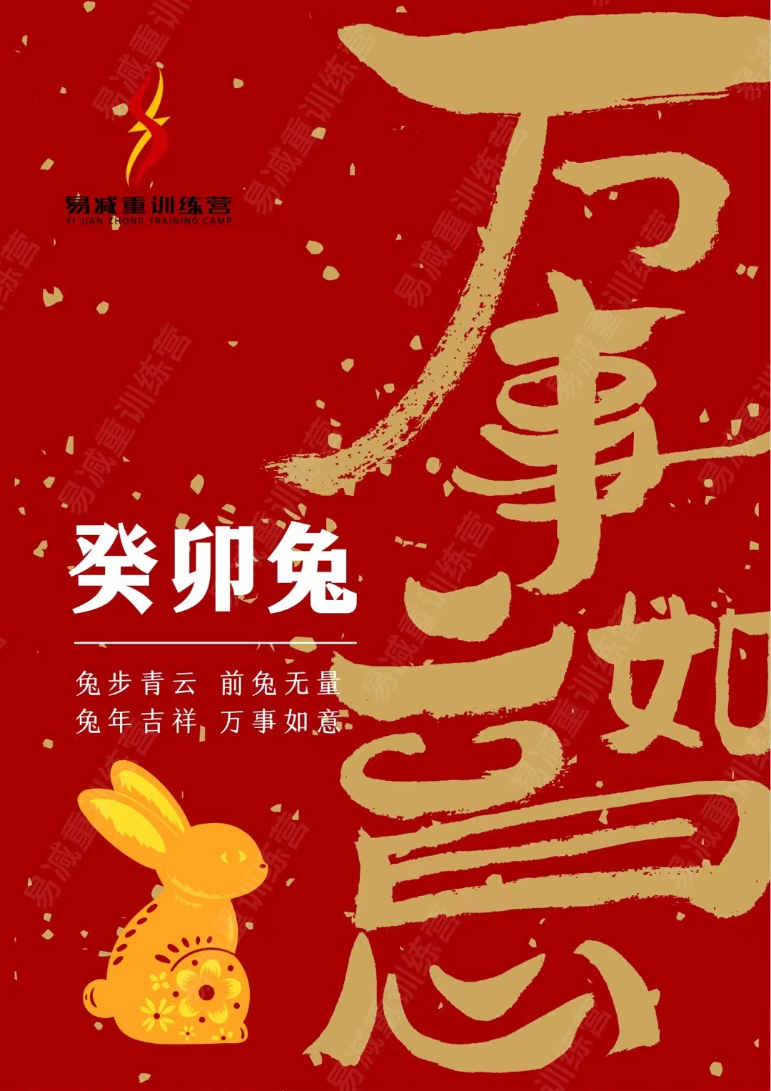 一免头日，如何借助SEO策略提升网站流量与排名，一免头日，SEO策略助力网站流量与排名飙升