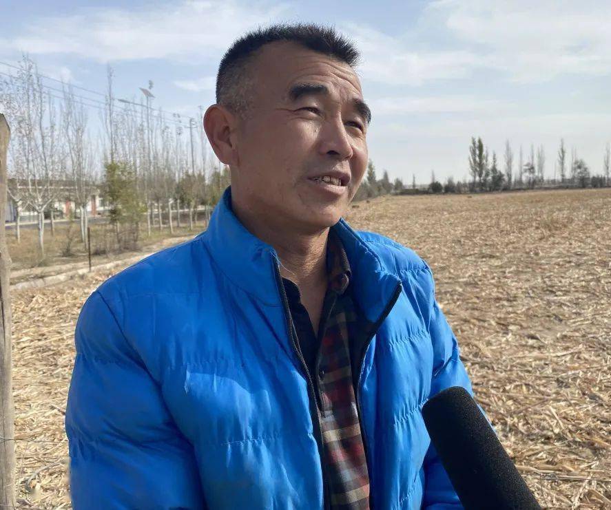 塔人王新刘兵消兴远数，探索与解析，塔人王新刘兵消兴远数，深度探索与解析