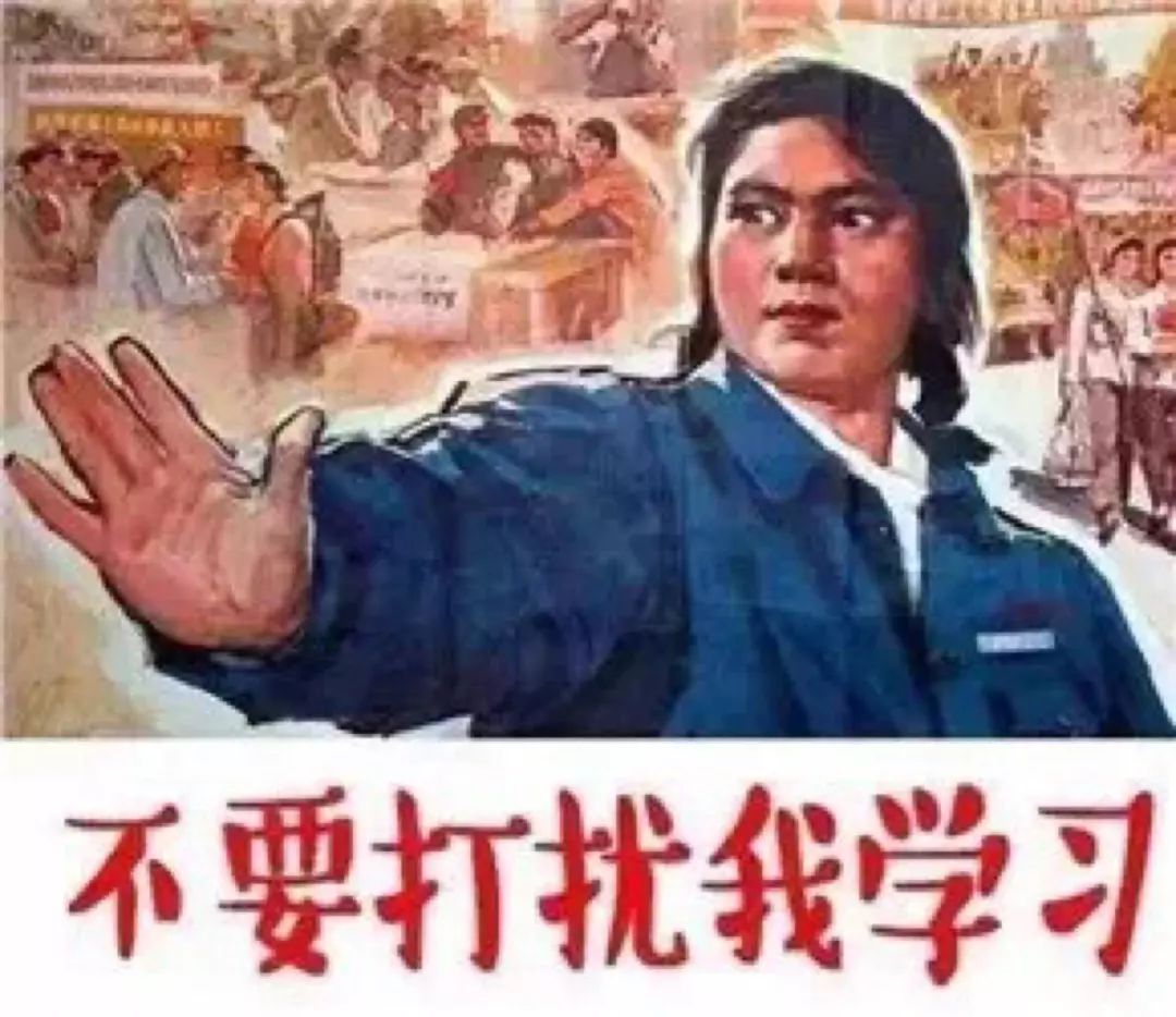 全人一文，探索肖民天的多元魅力与智慧人生，肖民天的多元魅力与智慧人生的探索之旅