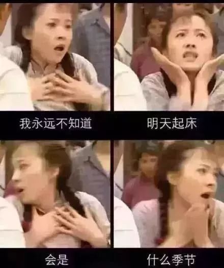 SEO优化策略探讨 第12页