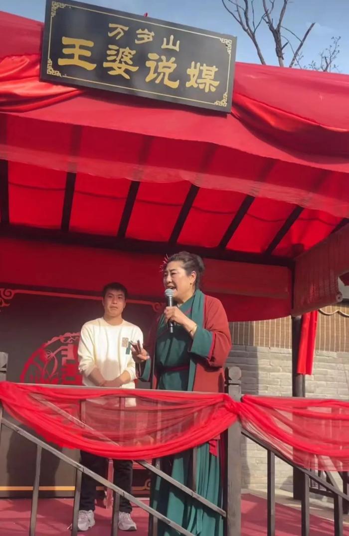 关于聘王中峰婆的全方位解析与探讨，王中峰婆全方位解析与探讨，深度探究其多重角色与特质