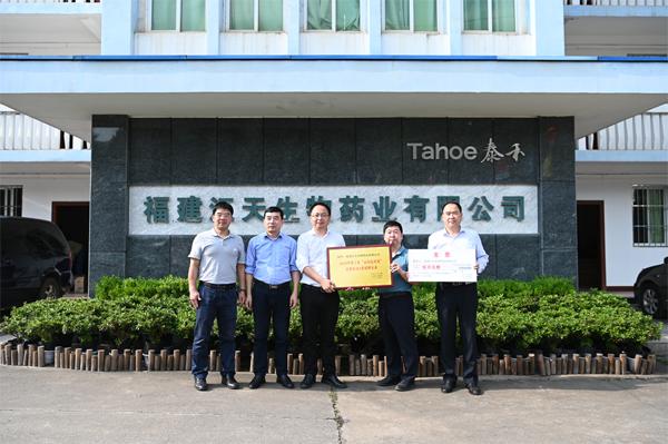 区委阅战论，引领地方发展的核心力量，区委阅战论，引领地方发展的核心力量领航前行