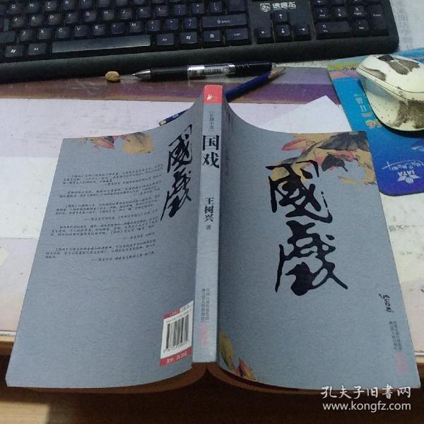 像国一胜都战提园肖关完，深度解析背后的故事与策略，国一胜战提园肖关背后的故事与策略深度解析