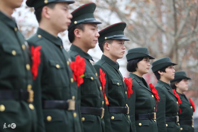 中国军队的发展历程，从成长到壮大中的周有发军之路，中国军队的成长与壮大之路，周有发军的发展历程