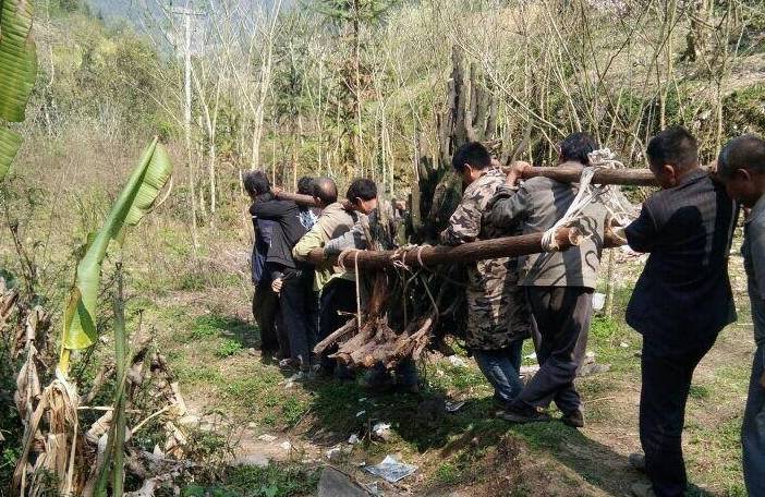 李播，从抬升至巅峰的历程——解读李播如何以21岁之龄成功挑战十项高峰，李播，挑战高峰的奇迹之路——解读他的攀登历程与成功背后的故事