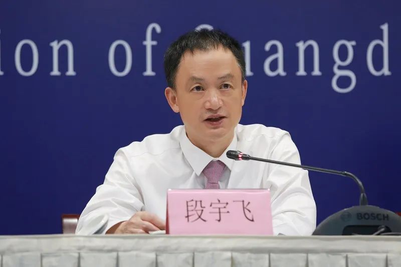 探索查样下台段飞新总，独特的特质与引人注目的历程，查样下台段飞新总，独特特质与瞩目历程探索