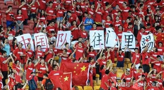 队片多正一号，深度解析与SEO优化策略，队片多正一号的深度解析与SEO优化策略探讨