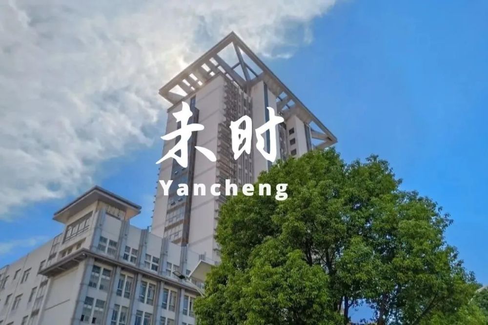师国园结盐高朝期，历史背景与现代价值探索，师国园结盐高朝期的历史背景与现代价值探究