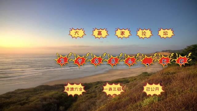 新澳门天天彩精准大全谜语，探索彩票背后的秘密与魅力，新澳门天天彩精准大全谜语，揭秘彩票背后的秘密与魅力