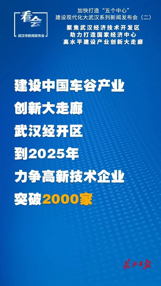 迎接未来，2025年新澳天天开好好展望，展望2025，新澳的明天，携手共创美好未来