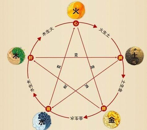 铁算算盘4887最准资料，揭秘精准算命的秘密，揭秘铁算算盘4887，精准算命的秘密资料
