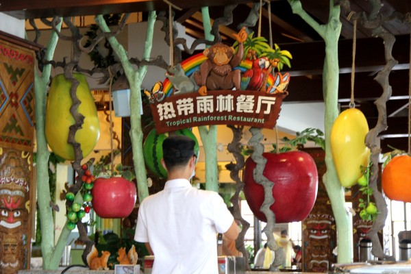 探寻王中王凤凰巢，神秘数字背后的故事与传奇，探寻王中王凤凰巢，数字背后的传奇故事