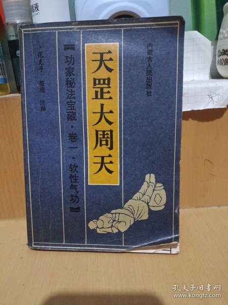 大格全翻周网仪天，探索与解析，大格全翻周网仪天，探索与解析揭秘
