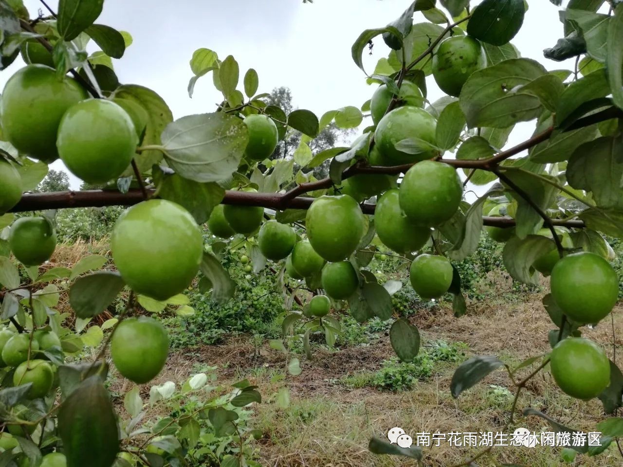 武六争好青等果站友，探索新时代下的机遇与挑战，新时代下的机遇与挑战，武六争好青等果站友的探索之旅