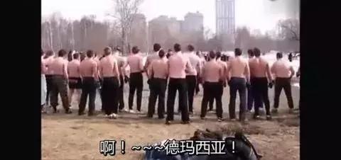 婆野中9多俄中，探索与洞察，婆野中的中俄探索洞察之旅