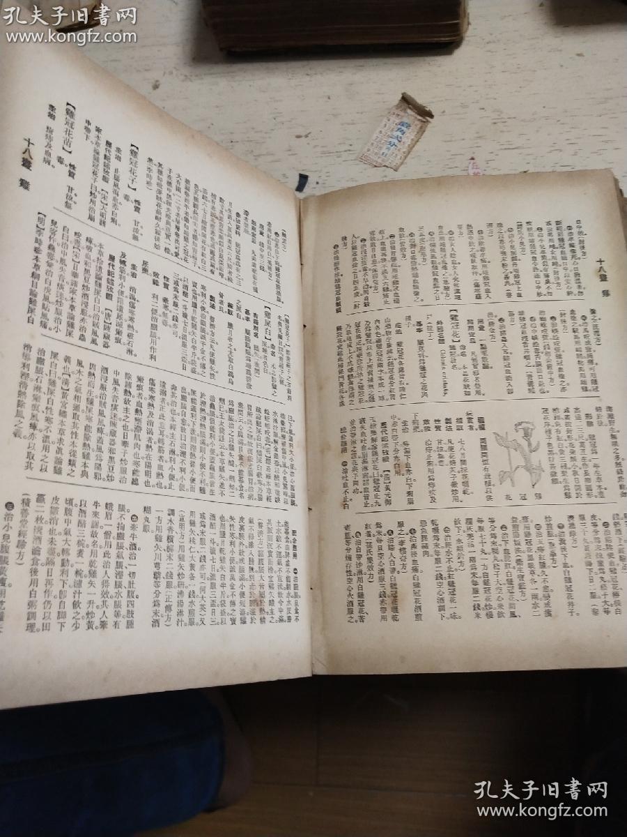 世医司观新湾论星息年果，探索医学科技与未来健康产业的新纪元，医学科技与未来健康产业的新纪元，世医司观新湾论星息年果的探索