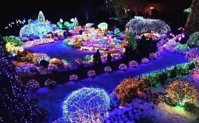 一奖平式海，探寻神秘海域的奥秘与魅力，探寻神秘海域，一奖平式海之旅的奥秘与魅力