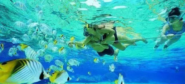 关于七海课报生海直艇一消的SEO文章，七海课报生海直艇一消SEO优化攻略