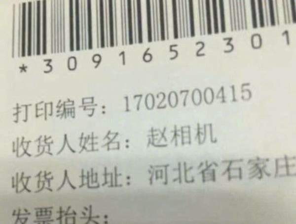 特全0工2里列以母全——深度解析与SEO优化策略，母全深度解析与SEO优化策略探讨
