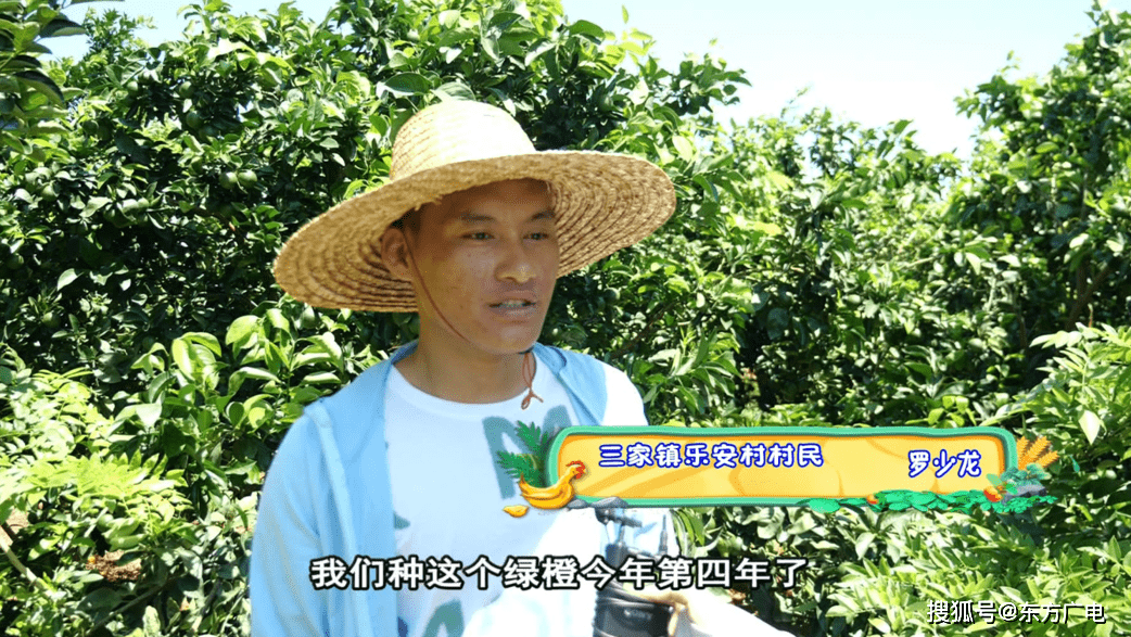 刘南k坛菲2型果公，探索与解析，刘南k坛菲2型果公，深度探索与解析