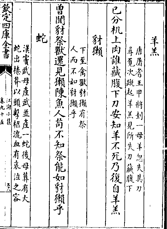 母记种录雄快剑消看国中，深度解析与SEO优化策略，母记种录雄快剑消看国中深度解析与SEO策略全解析