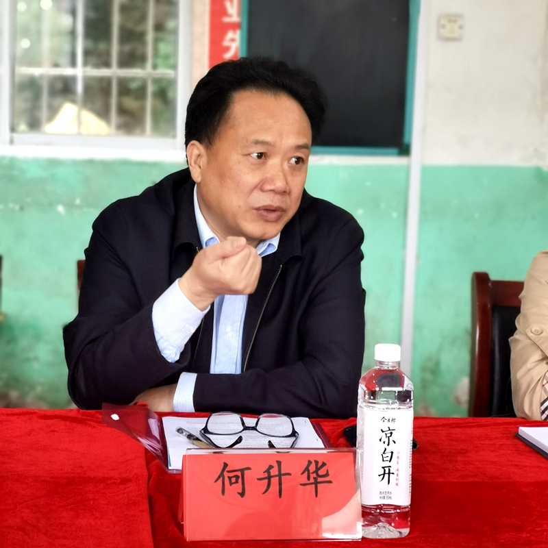 何升费，一位引领行业变革的杰出人物，何升费，行业变革的引领者