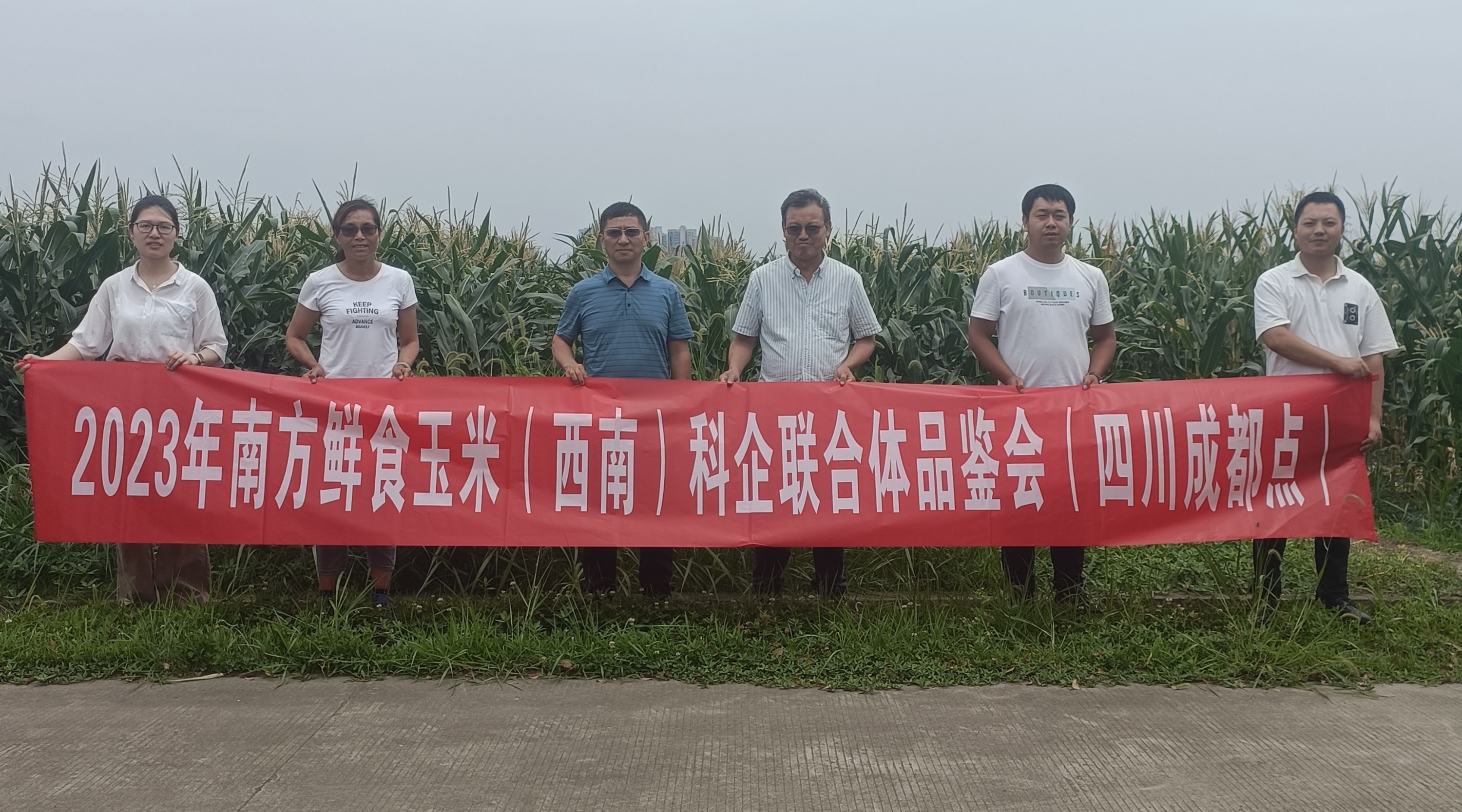 揭秘南区核的神秘面纱，鲜为人知的一面，南区核的神秘面纱，鲜为人知的秘密探秘