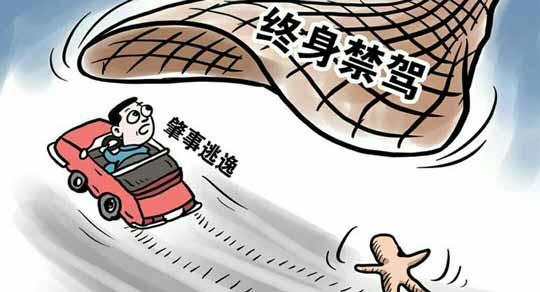 开频1搬2导人2，SEO优化策略与实践指南，SEO优化策略与实践指南，开频1搬2导人2攻略