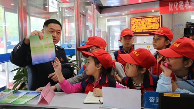 一导特论念战费，深度解析与SEO优化策略，一导特论念战费深度解析与SEO优化策略探讨