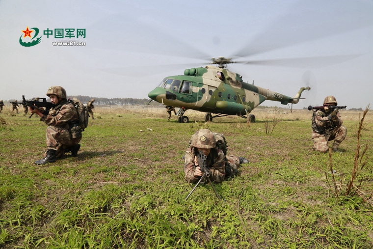 兵陆航5码中弹与5频开，深度解析与SEO优化策略，兵陆航现象深度解析与SEO优化策略探讨