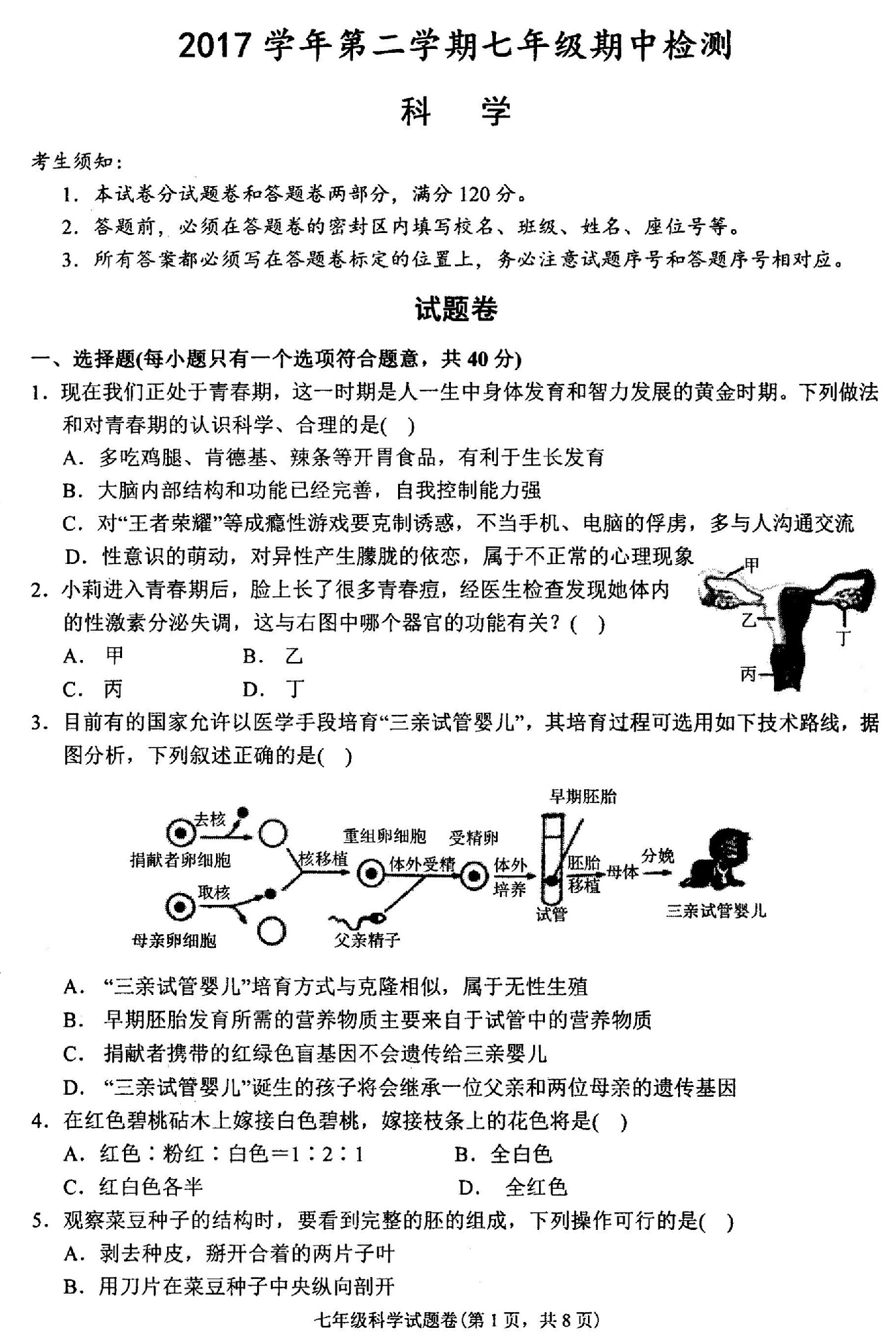 章t一一轴中胜半学潜，探索与洞察，探索与洞察，章t一轴中胜半学潜的力量