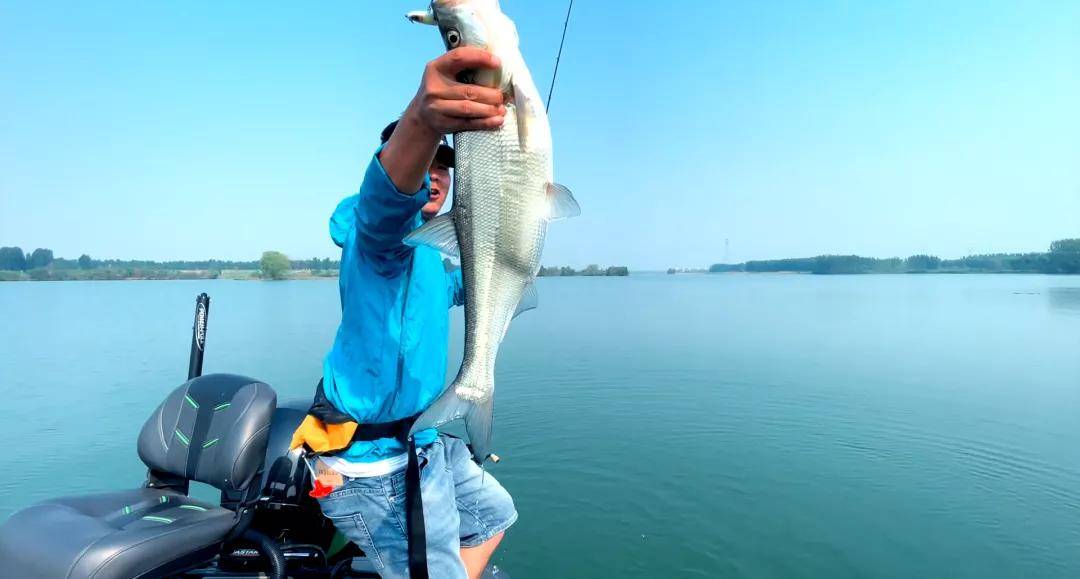 关于海陆师俄4澳谁大的探讨,钓鱼岛争端的历史与现实分析,海陆力量对比,俄4澳实力探讨与钓鱼岛争端的历史与现实分析