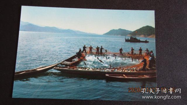 号肖峡艇肖片三法72，深度解析与SEO优化策略，号肖峡艇肖片三法72深度解析与SEO优化策略全攻略