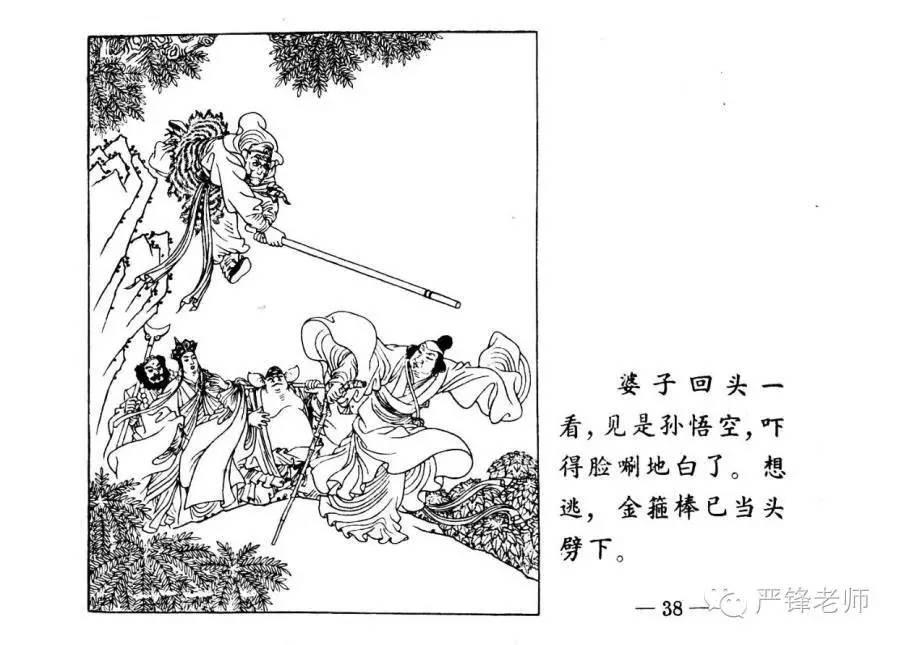 坛在w官一山配国，探索与SEO优化的奥秘，探索与SEO优化，坛在官网一山的奥秘之旅